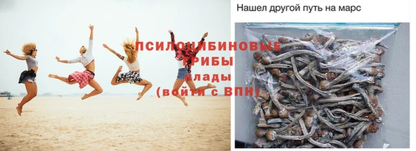 Альфа ПВП Белокуриха