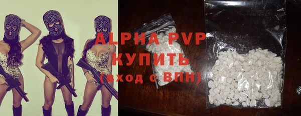 индика Бабаево