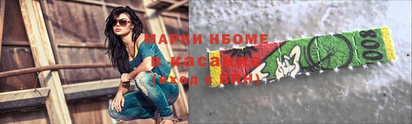 индика Бабаево