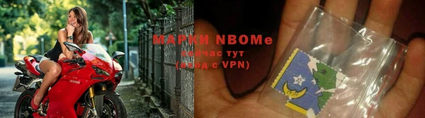 Альфа ПВП Белокуриха