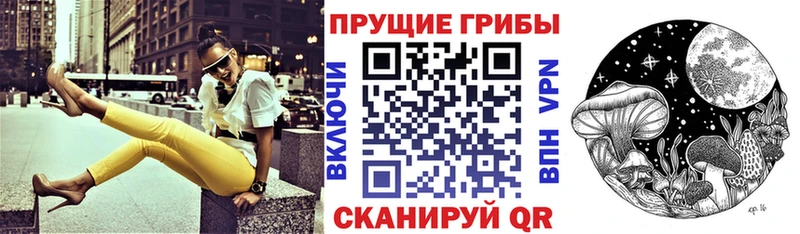 Галлюциногенные грибы Psilocybine cubensis  дарк нет телеграм  Богданович  kraken ссылки 