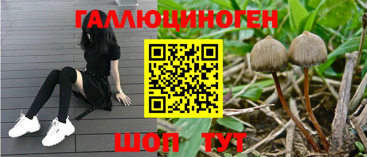 Галлюциногенные грибы ЛСД Богданович