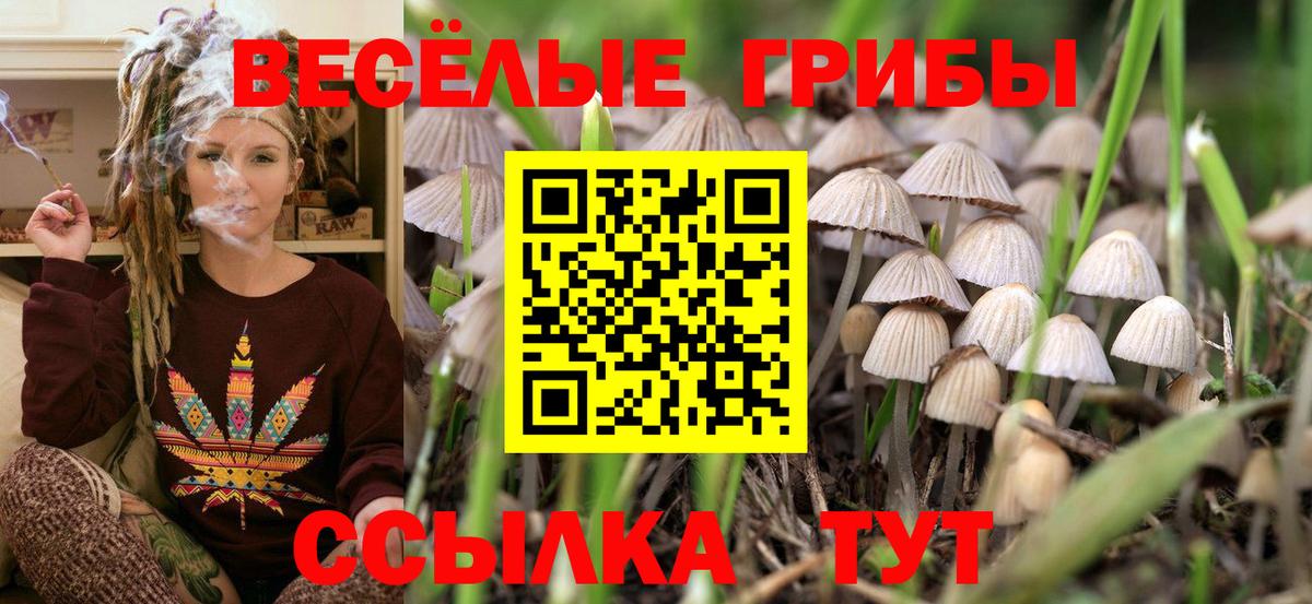 Псилоцибиновые грибы мицелий  Псилоцибиновые грибы GOLDEN TEACHER  Богданович  Вход с VPN 